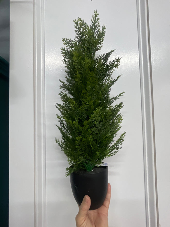 22.5” Soft Cedar Tree in Pot