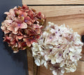 Hydrangea Pick with Gold Dusting