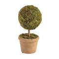 Ball On Stick Mini Moss Topiary