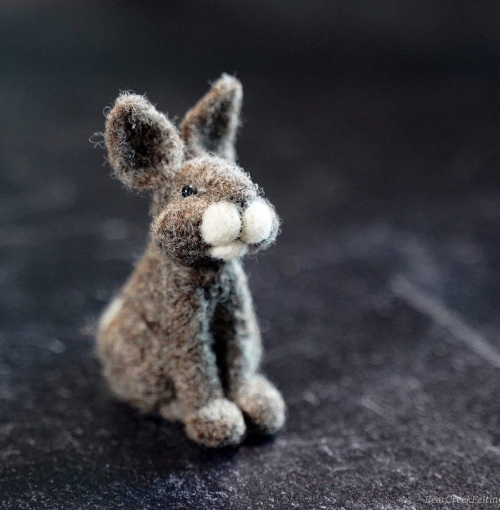 Bear Creek Felting - Felting Kits - Bunny