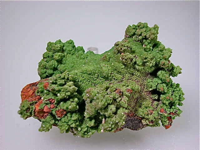 Conichalcite, Ojuela Mine, Mapimi, Durango, Mexico Small cabinet 4 x 5 x 7.5 cm $45. Online July 10. SOLD.
