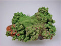 Conichalcite, Ojuela Mine, Mapimi, Durango, Mexico Small cabinet 4 x 5 x 7.5 cm $45. Online July 10. SOLD.