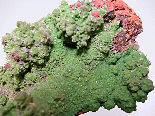 Conichalcite, Ojuela Mine, Mapimi, Durango, Mexico Small cabinet 4 x 5 x 7.5 cm $45. Online July 10. SOLD.