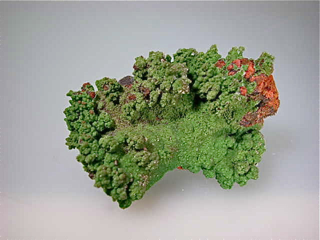 Conichalcite, Ojuela Mine, Mapimi, Durango, Mexico Small cabinet 4 x 5 x 7.5 cm $45. Online July 10. SOLD.