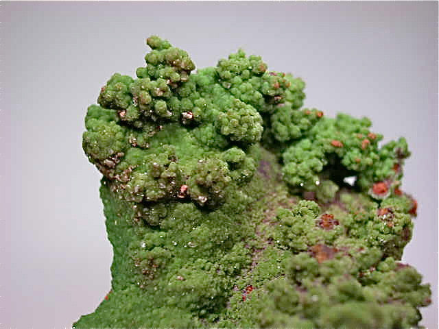 Conichalcite, Ojuela Mine, Mapimi, Durango, Mexico Small cabinet 4 x 5 x 7.5 cm $45. Online July 10. SOLD.