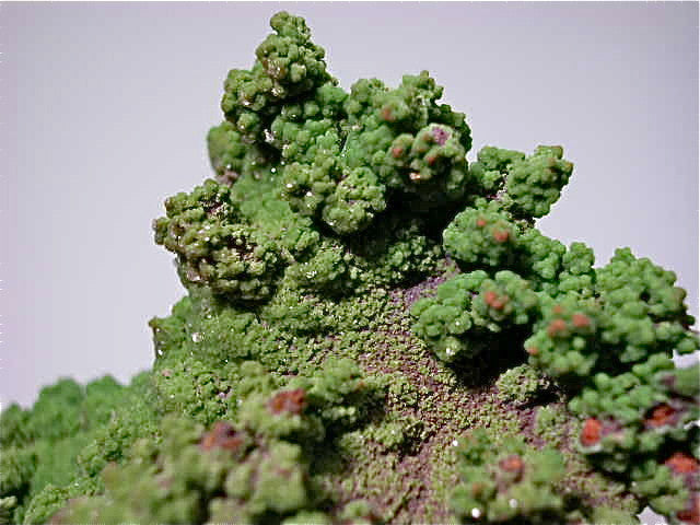 Conichalcite, Ojuela Mine, Mapimi, Durango, Mexico Small cabinet 4 x 5 x 7.5 cm $45. Online July 10. SOLD.