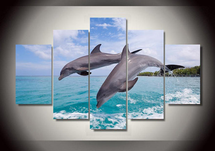 Delightful Dolphin Jump