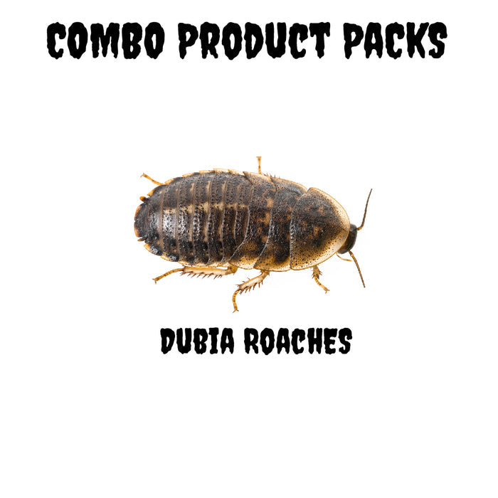 Dubia Roaches - Combo Product Packs
