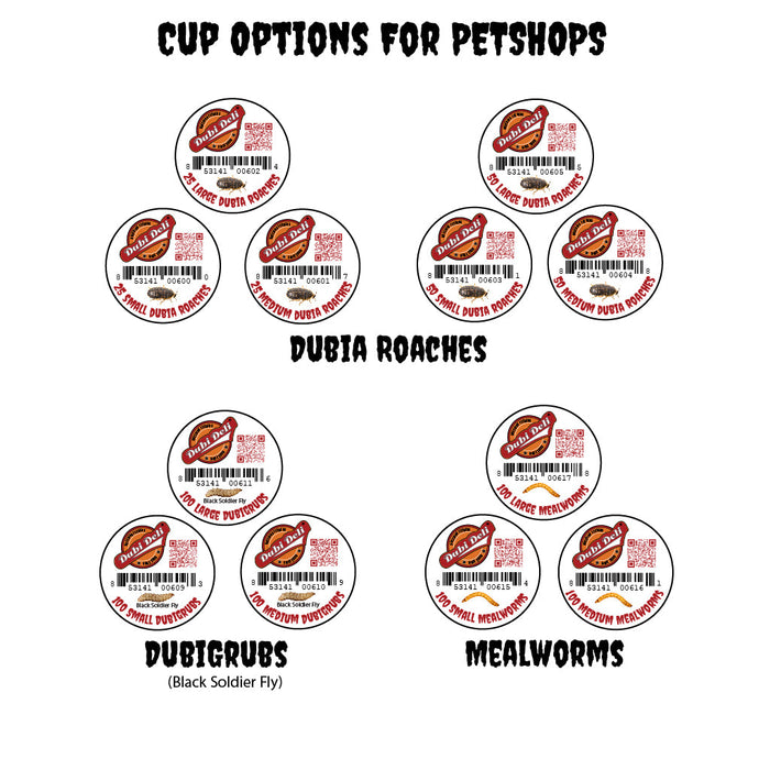 feeder insect cupping options