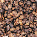 Dubia roach medium mix