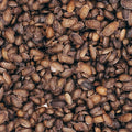 dubia roach small mix