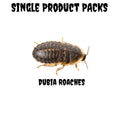 Dubia Roaches - Single Product Packs