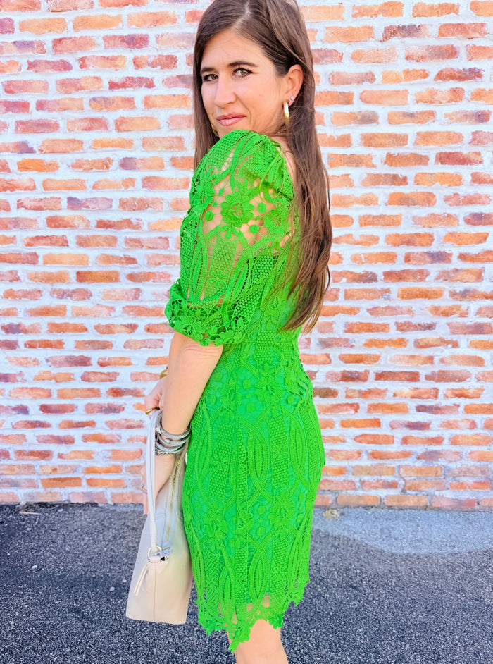 Emery Puff Sleeve Lace Dress