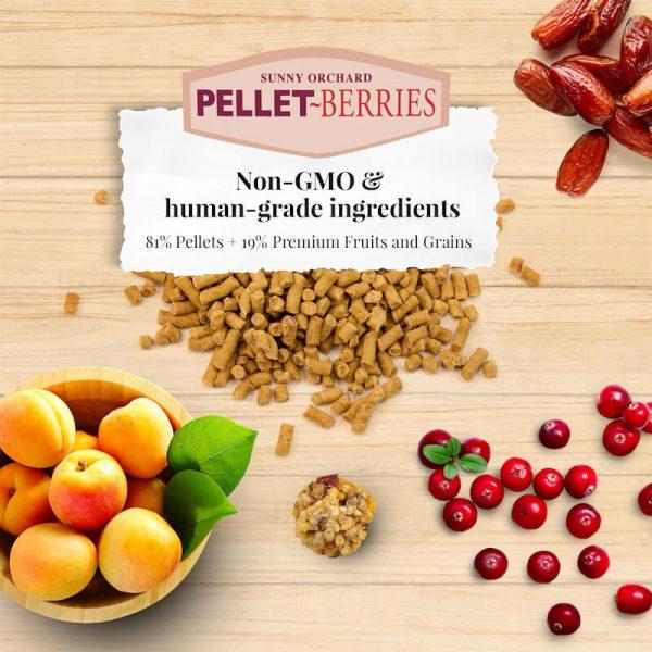 Lafeber Pellet-Berries for Cockatiels - New York Bird Supply