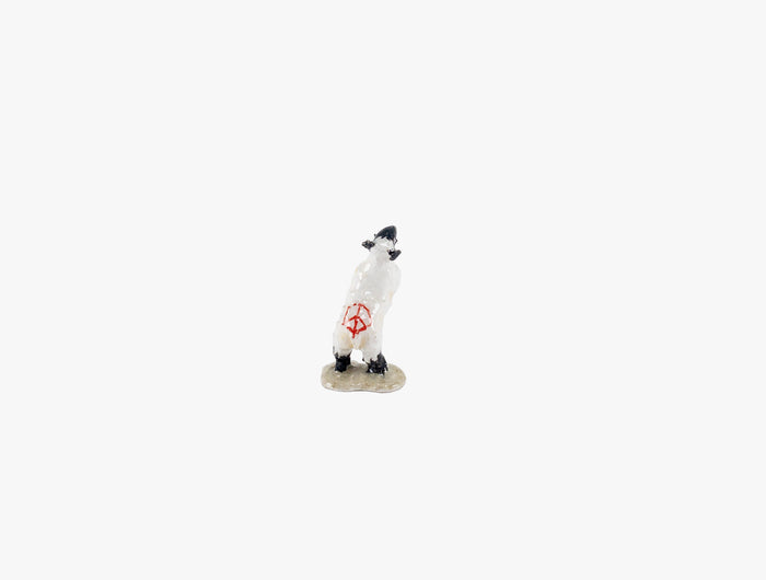 Lamb