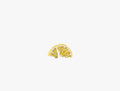 Lemon Slice