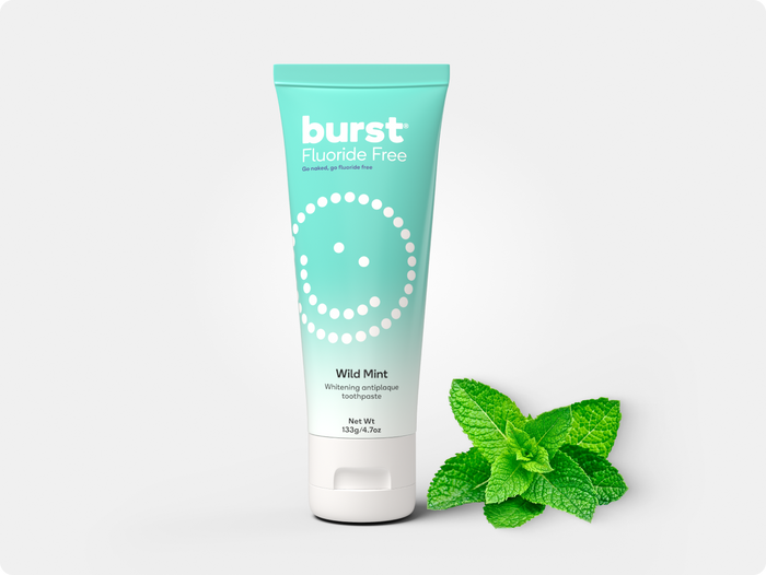 Natural Wild Mint Toothpaste Refill