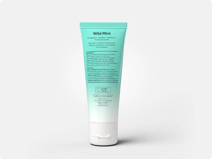 Natural Wild Mint Toothpaste Refill