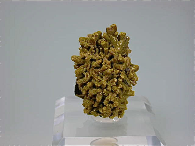 Pyromorphite, Mine dee Farges, Ussel, Correze, France Miniature 2.5 x 2.5 x 3.5 cm $125. Online 12/1