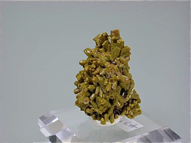 Pyromorphite, Mine dee Farges, Ussel, Correze, France Miniature 2.5 x 2.5 x 3.5 cm $125. Online 12/1