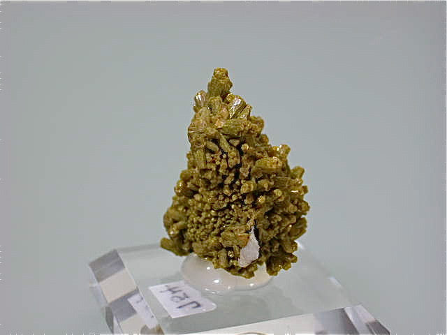 Pyromorphite, Mine dee Farges, Ussel, Correze, France Miniature 2.5 x 2.5 x 3.5 cm $125. Online 12/1