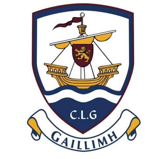 TCF Galway GAA Handheld Flag