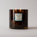 Tortoise Candle