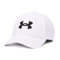 Under Armour Mens Blitzing 3.0 Cap