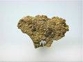 Vanadinite, Puzzler Mine, Yuma County, Arizona Miniature 1 x 3.5 x 5 cm $25. Online 11/29