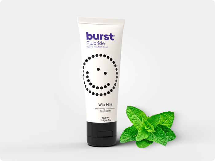 Wild Mint Toothpaste Refill